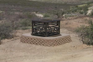 Bat Cupola