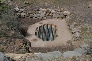 Bat Cupola