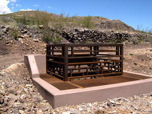 Bat Cupola