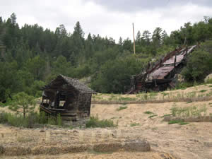 after Yankee Vukonich stream restoration
