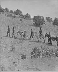 Prospectors