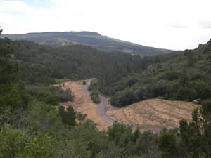 after Yankee Vukonich stream restoration
