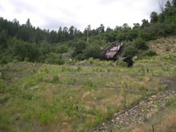 Yankee-Vukonich