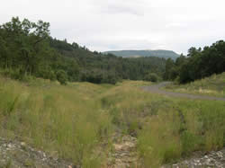 after Yankee Vukonich stream restoration