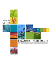 2013 Financial Statement Cover