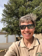 Mary Lavin