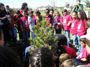 A group of people gather around a newly planted tree