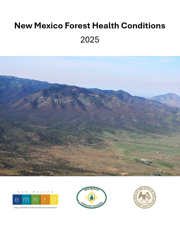 Conditions report 2025 image