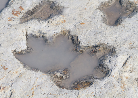 Clayton Lake State Park and Dinosaur Trackways - State Parks — photo 4