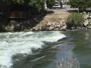River runs