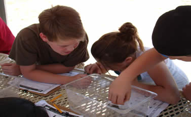 Three children participating in an activity