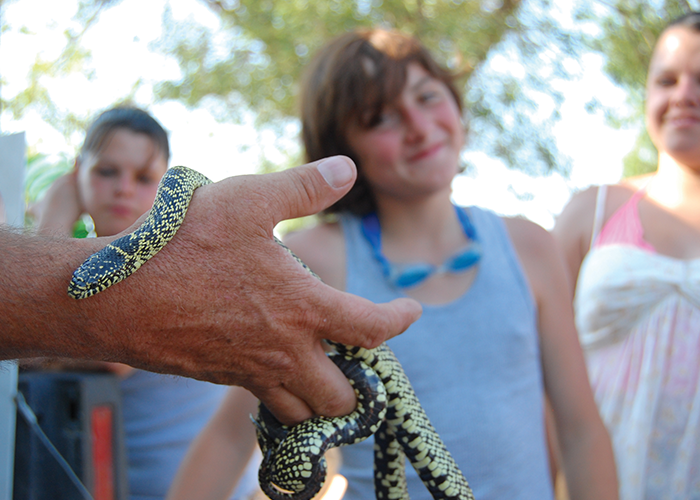 Hand holding snake in foreground, children watch in background