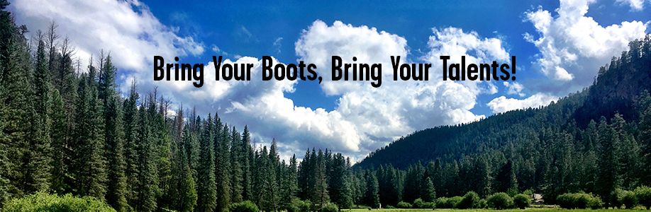 Volunteer_Boots_Banner Volunteer sky banner